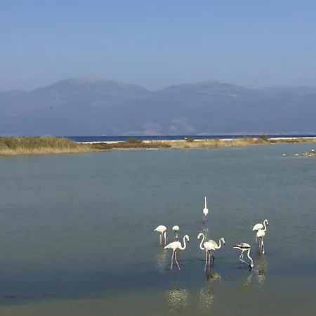 Casa vacanze Sunny House Mariadim *