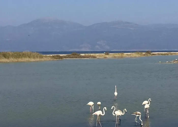 別荘 Sunny House Mariadim *