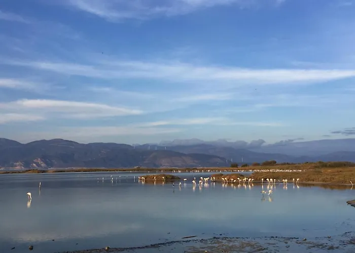 Casa de Férias Sunny House Mariadim Égio